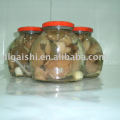 canned suillus